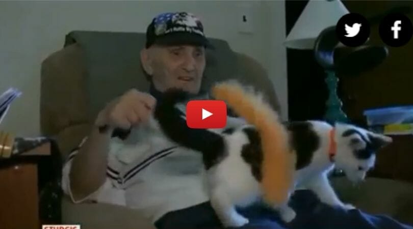 elderly veteran with cat