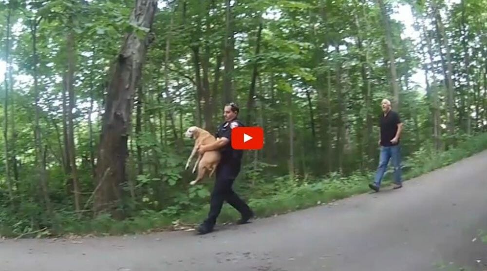 Man carrying dog