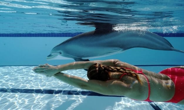 Incredibly Realistic Robotic Dolphins Could Save the Real Animals from Cruel Captivity
