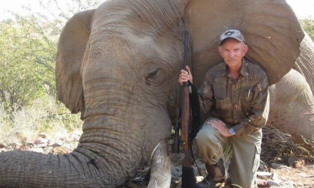 SIGN: Ban Cruel Elephant ‘Trophies’ in CA