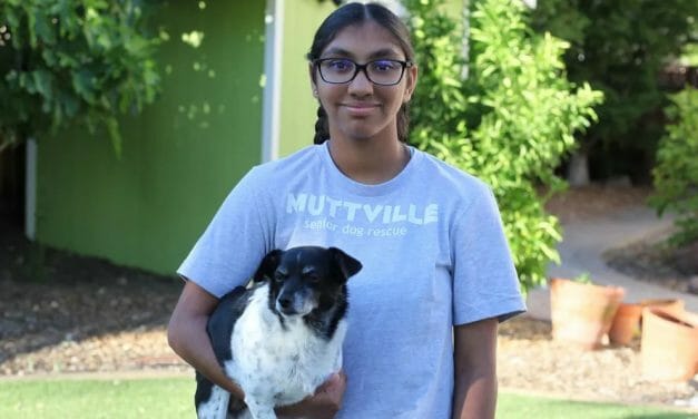 Adopted 14-Year-Old Girl Helps Shelter Dogs Find Loving Families of Their Own