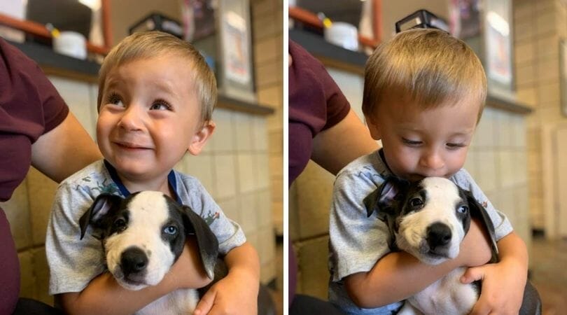 little boy and puppy