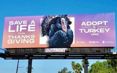 Adopt a Turkey billboard