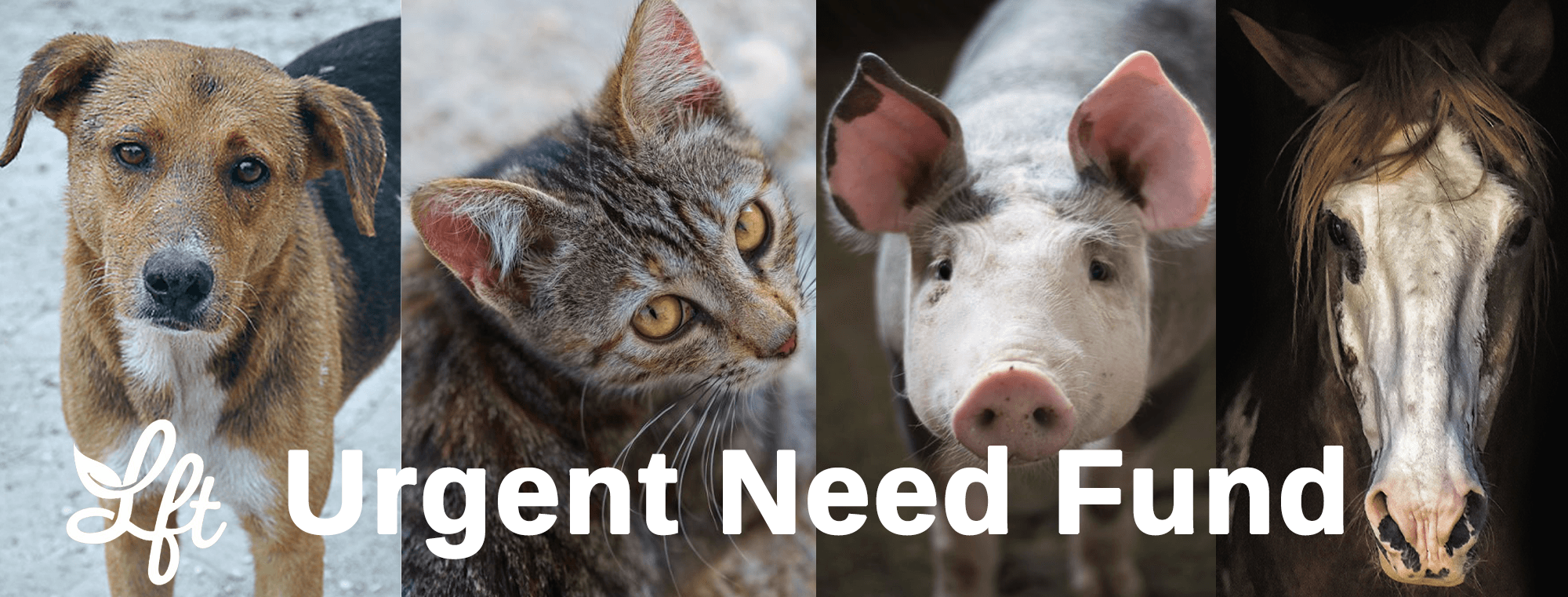 Urgent Need Photo