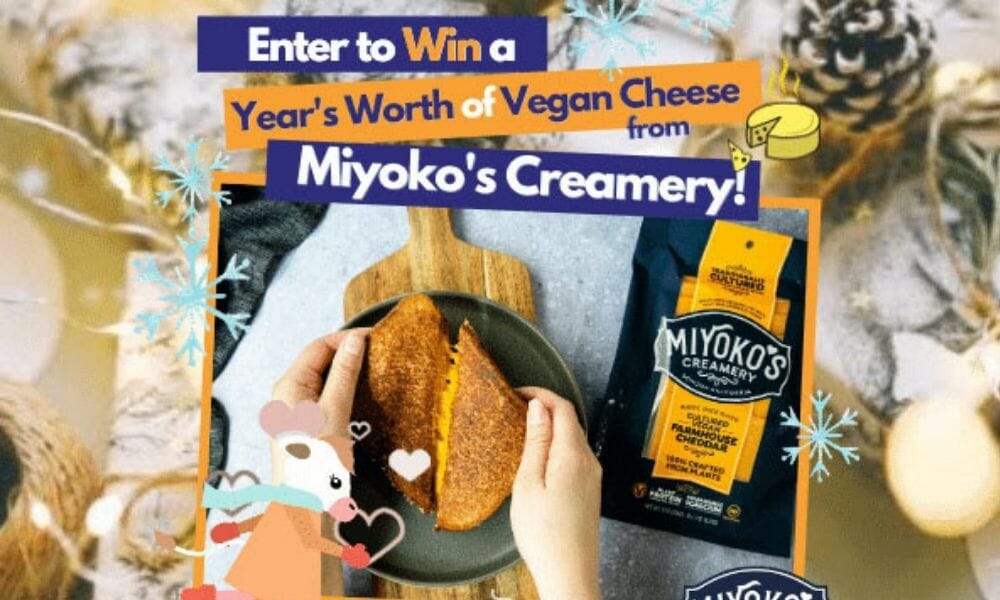 Win a Year’s Worth of Vegan Cheese From Miyoko’s Creamery