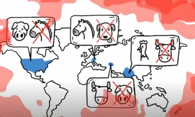 Dr. Melanie Joy Explains the Secret Reasons Behind Why People Eat Meat