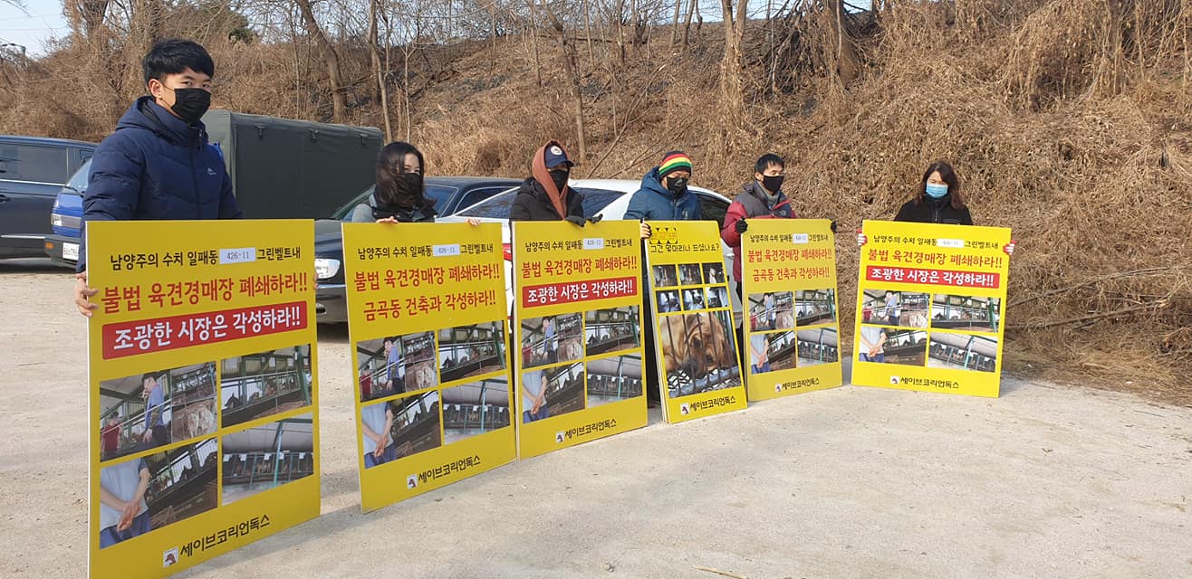 save korean dogs blocking trucks at Nakwon auction house