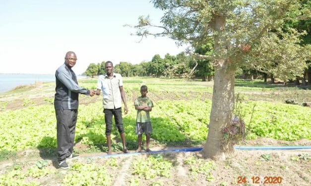 UPDATE: Former Dog Dealers in Mali Thrive In More Compassionate, Crop-Based Careers