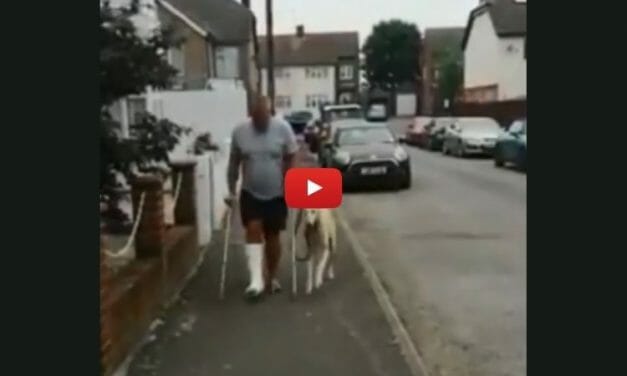 VIDEO: Injured Man Takes Limping Dog to Vet Only to Find Out His Pet Is Copying Him