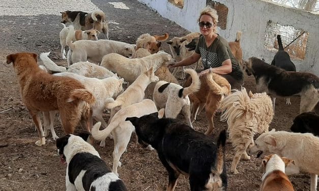 UPDATE: Tunisian Dog Rescue Still Saving Lives After Brutal Attack