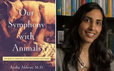 Our Symphony with Animals by Aysha Akhtar Our Symphony with Animals by Aysha Akhtar
