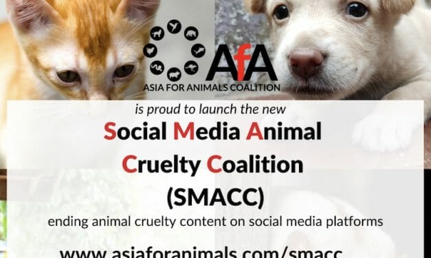 New Coalition Launched To #SMACC Animal Cruelty Off Social Media