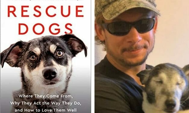Recommended Reading: ‘Rescue Dogs’ by Pete Paxton