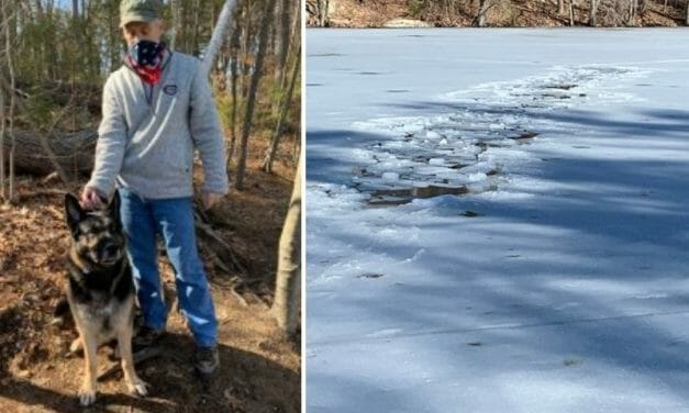 Hero Dog Helps Save Man Who Fell Through Ice In Frozen Pond