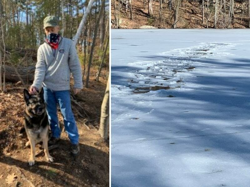 Diesel the dog and ice on a pond