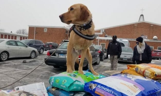 Chicago Sheriff’s Office Hosts Drive-Thru Food Pantry for Dogs in Need