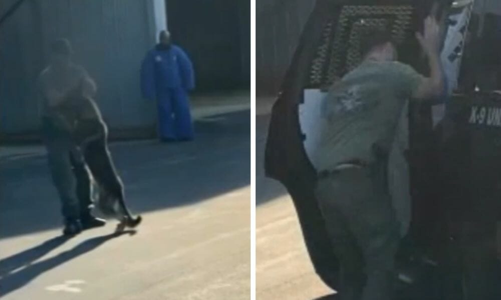 SIGN: Justice for Police K9 Grabbed By the Collar and Slammed into SUV