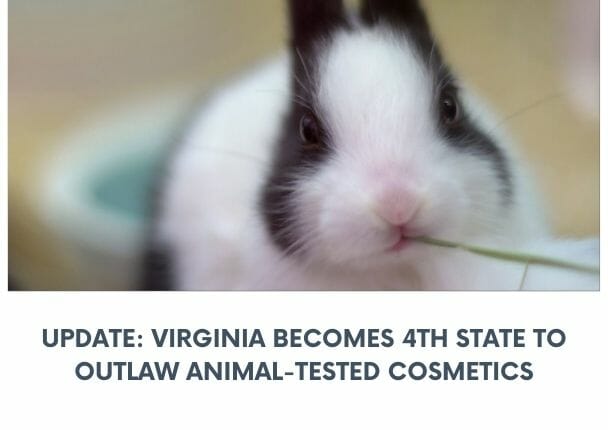 VIRGINIA OUTLAWS ANIMAL-TESTED COSMETICS