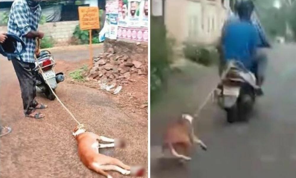 SIGN: Justice for Dog Tied to Motorbike, Painfully Dragged Down Dirt Road