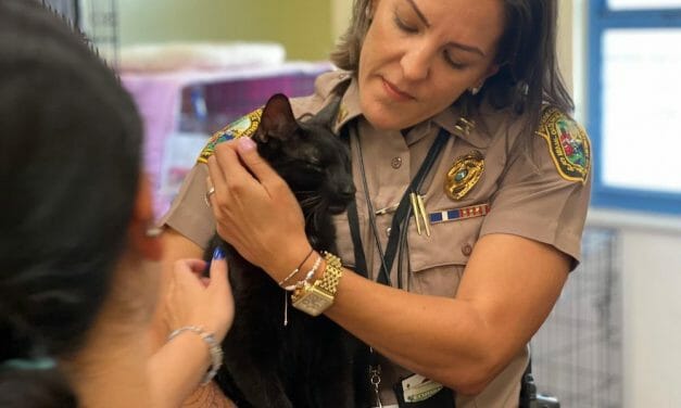 Binx the Cat Survives Surfside Condo Collapse, Reunites With Family