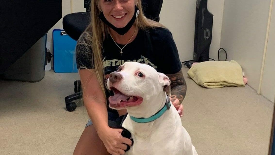 Florida Woman Drives to Indiana Shelter for Happy, Tear-Filled Reunion With Her Dog