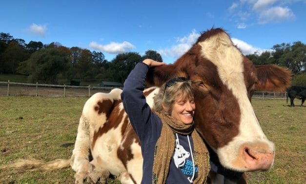 ‘Speaking Love’ Has Sparked Joy, Discovery, and Healing for Catskill Animal Sanctuary Founder Kathy Stevens