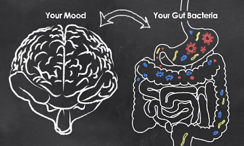 mood and gut bacteria