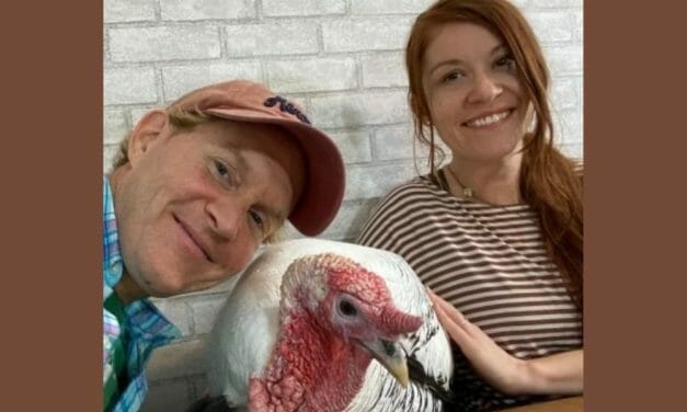 Turkeys Are Guests, Not Food, At This Animal Sanctuary’s Thanksgiving Table