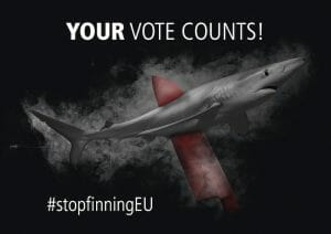 ‘Stop Finning-Stop the Trade’ Campaign Seeks to End Brutal Shark Fin Trade in Europe