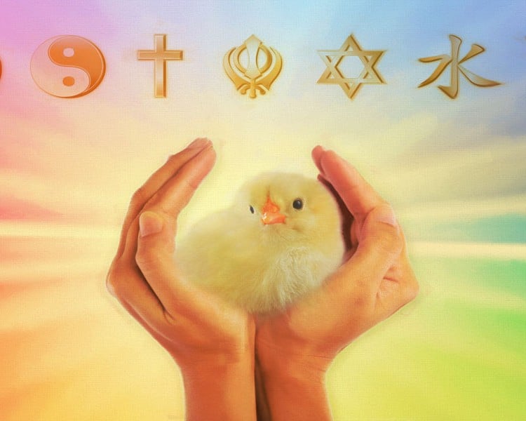 Interfaith vegan insignia