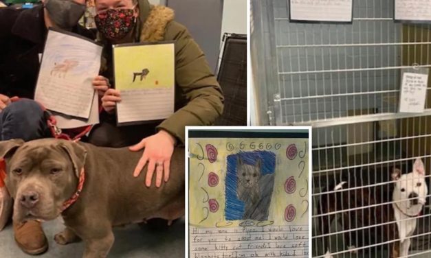 Second Graders Write Heartwarming Letters To Help Shelter Dogs Get Adopted