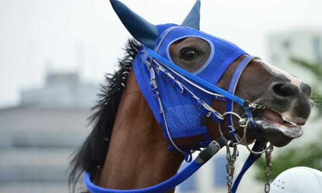 SIGN: Justice for Magnolia and Hundreds of Horses Who’ve Died at Santa Anita Racetrack