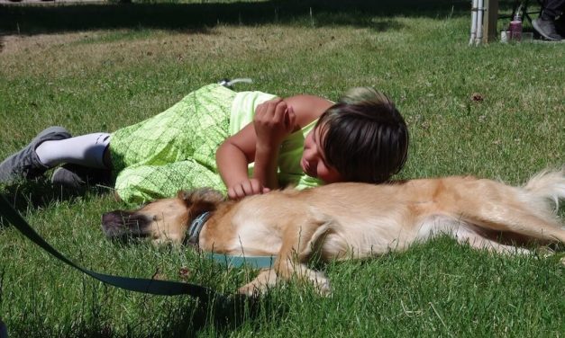 Youth and Animals Heal Together at New ‘Pawsitively Healing’ Summer Camp in Montana