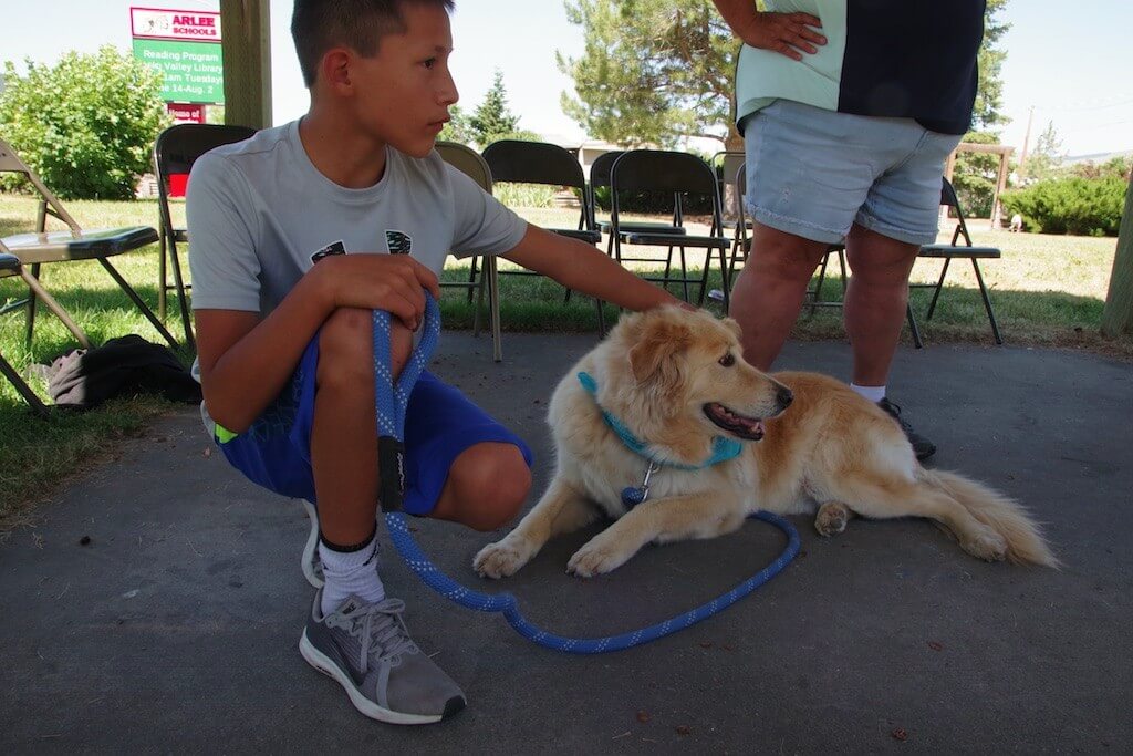 Youth and Animals Heal Together at New ‘Pawsitively Healing' Summer ...