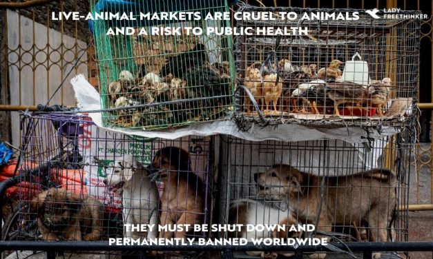 LFT to World Health Organization: Cruel and Dangerous Live-Animal Markets Must Close!
