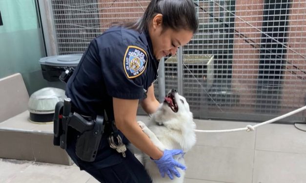 Kind NYC Police Officer Adopts Dog She Helped Rescue From Hot Car