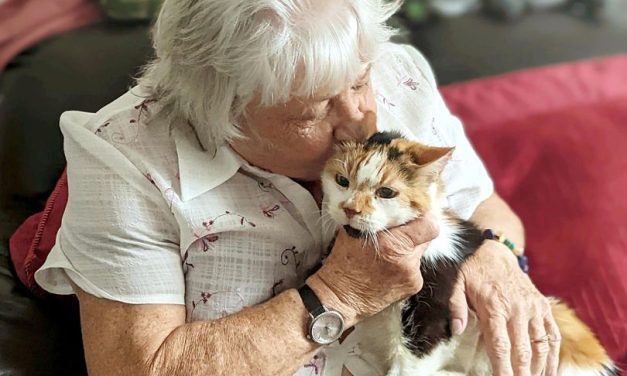 Cat Missing for Six Years Is Back with Her Family After Tearful Reunion