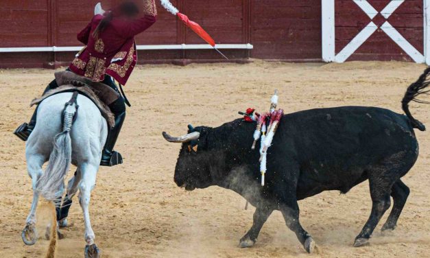 LFT Witnesses Bulls Stabbed, Mutilated, and Killed at Brutal Madrid Bullfight