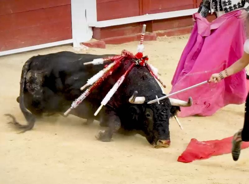 Madrid Bullfight