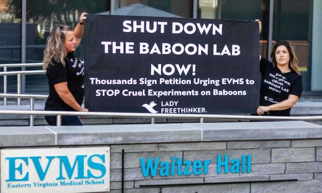 PETITION UPDATE: LFT Calls for Shutdown of Cruel Baboon Lab During EVMS Meeting