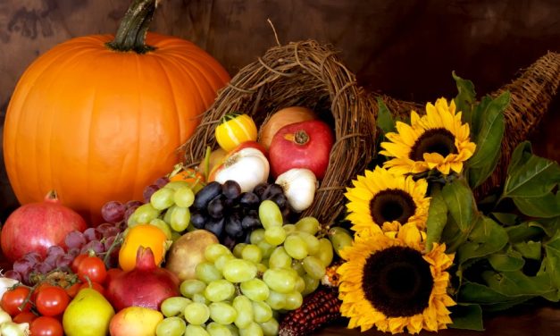GUEST POST: Five Things Plant-Based People Can Be Grateful for This Thanksgiving