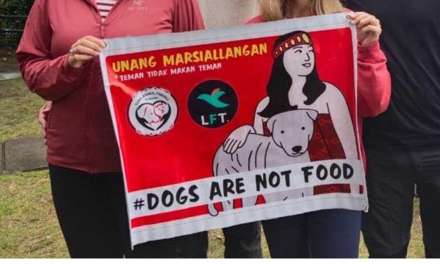 PETITION UPDATE: LFT Partners with Sumatran Dog Rescue to Help End Cruel Dog Meat Trade