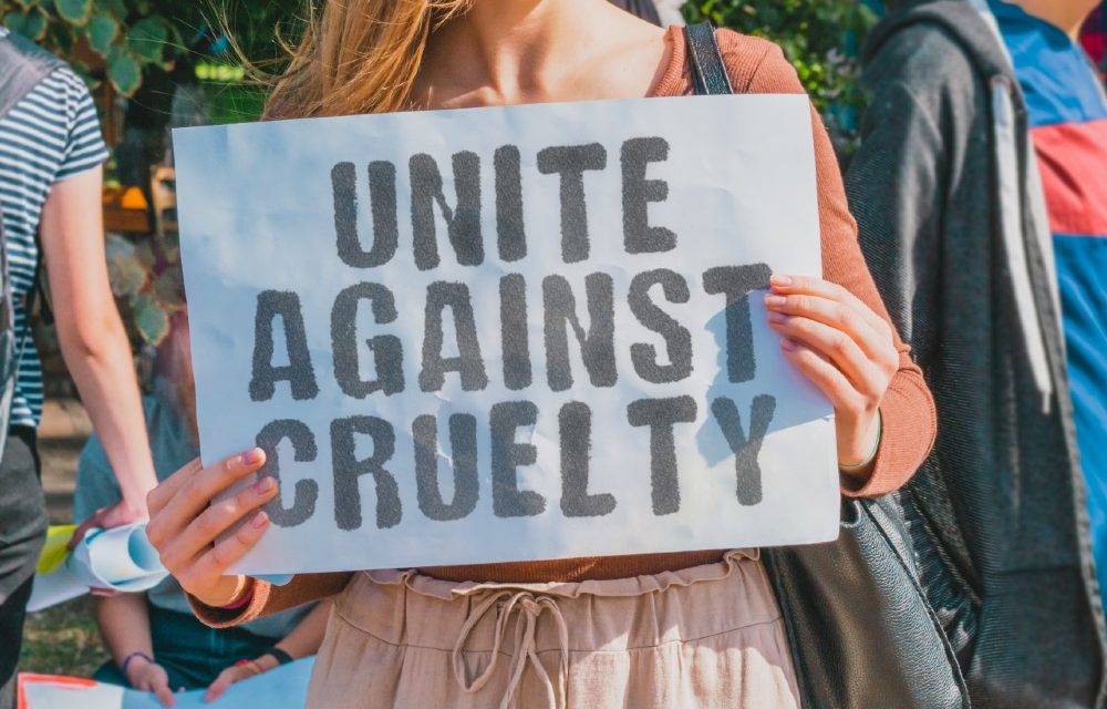 unite against cruelty