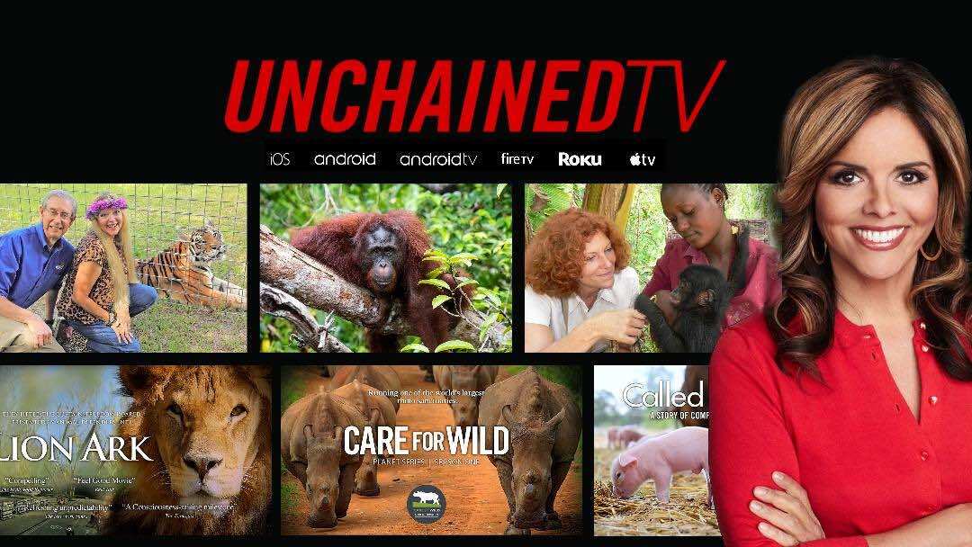 Unchained TV