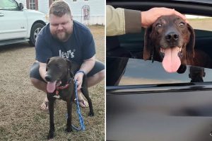 Tucker in the car ready for his new home