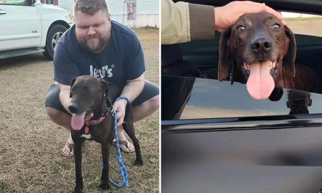 Burned, Stabbed, and Starved Dog Finally Adopted After 2 Years in Shelter