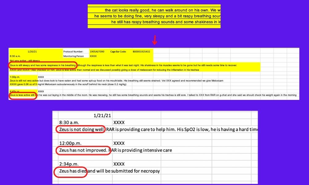 Zeus medical records