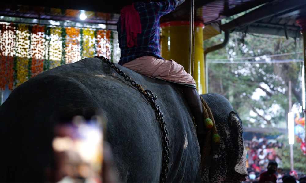 Pooram - Kodungallur Sree Kurunba Bagavathi Temple