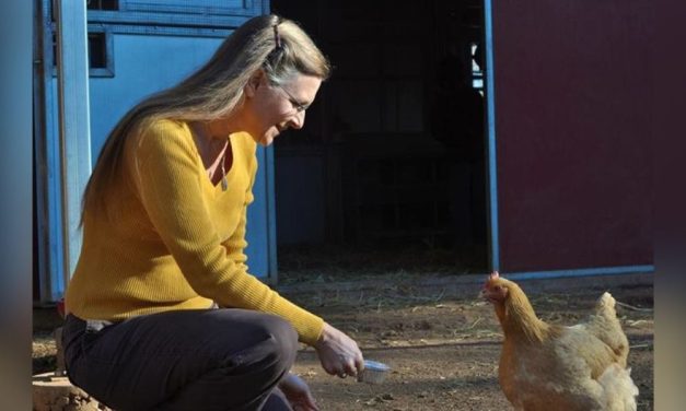 ‘HUMANE HOAX’ Editor Hope Bohanec On The Fallacy of ‘Happy’ Farmed Animals