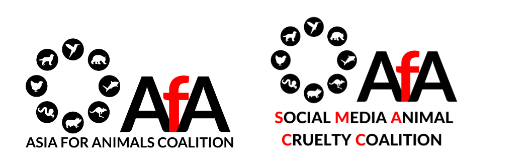 Monkey cruelty on the rise as social media continues providing a